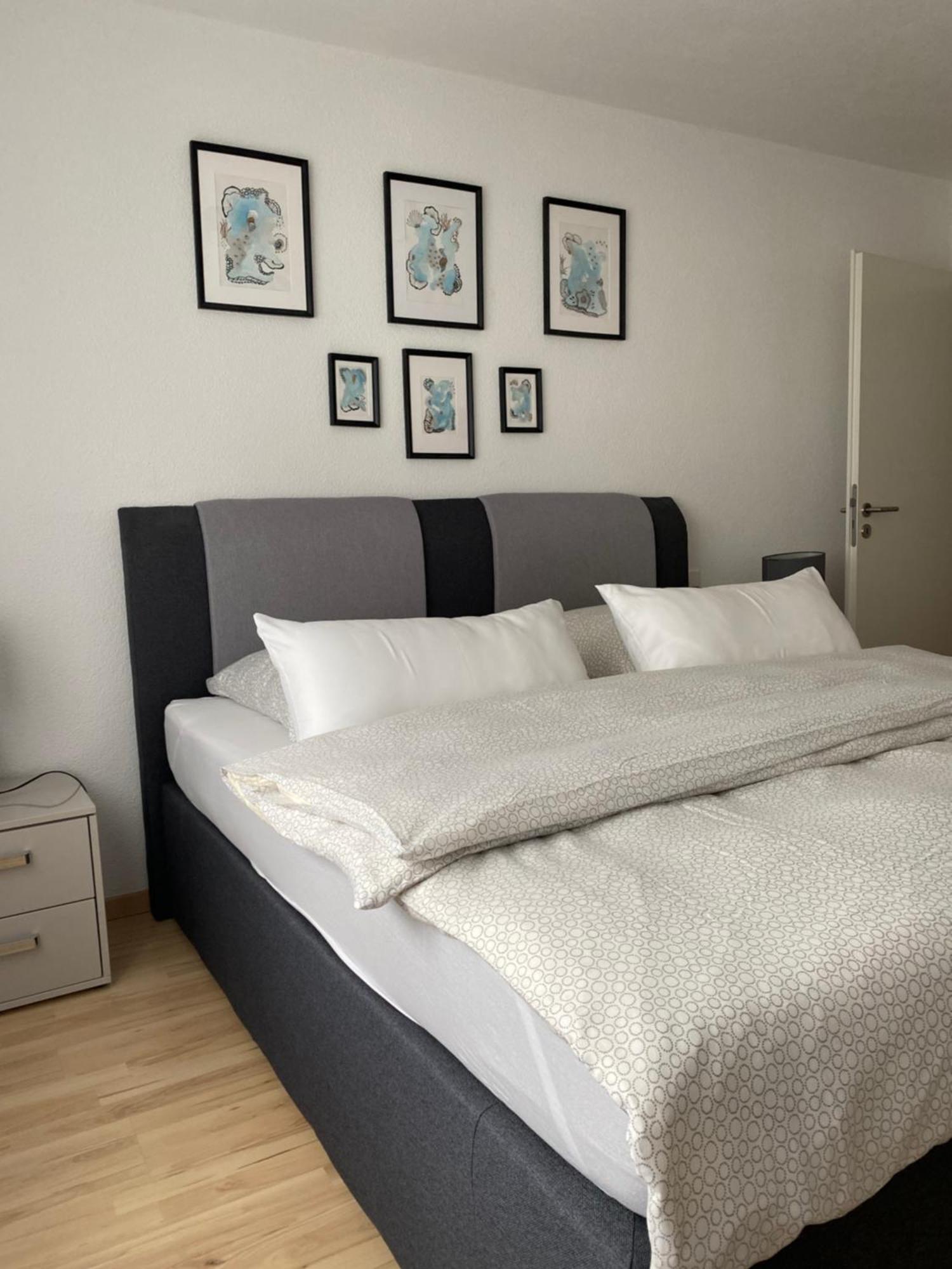 Gemuetliches City Apartment Friedrichshafen Bagian luar foto